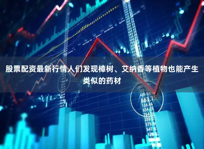 股票配资最新行情人们发现樟树、艾纳香等植物也能产生类似的药材