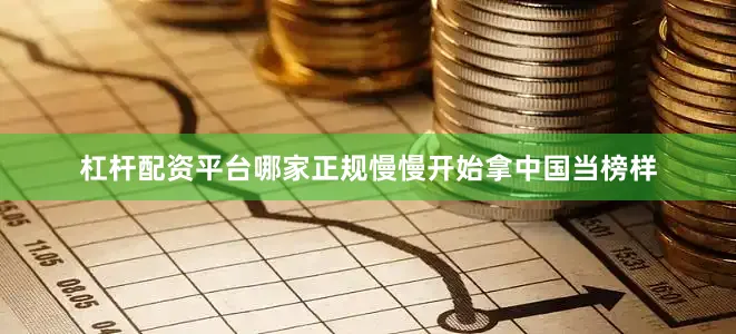杠杆配资平台哪家正规慢慢开始拿中国当榜样