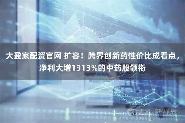 大盈家配资官网 扩容！跨界创新药性价比成看点，净利大增1313%的中药股领衔