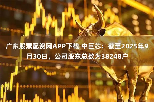 广东股票配资网APP下载 中巨芯：截至2025年9月30日，公司股东总数为38248户
