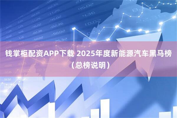 钱掌柜配资APP下载 2025年度新能源汽车黑马榜（总榜说明）